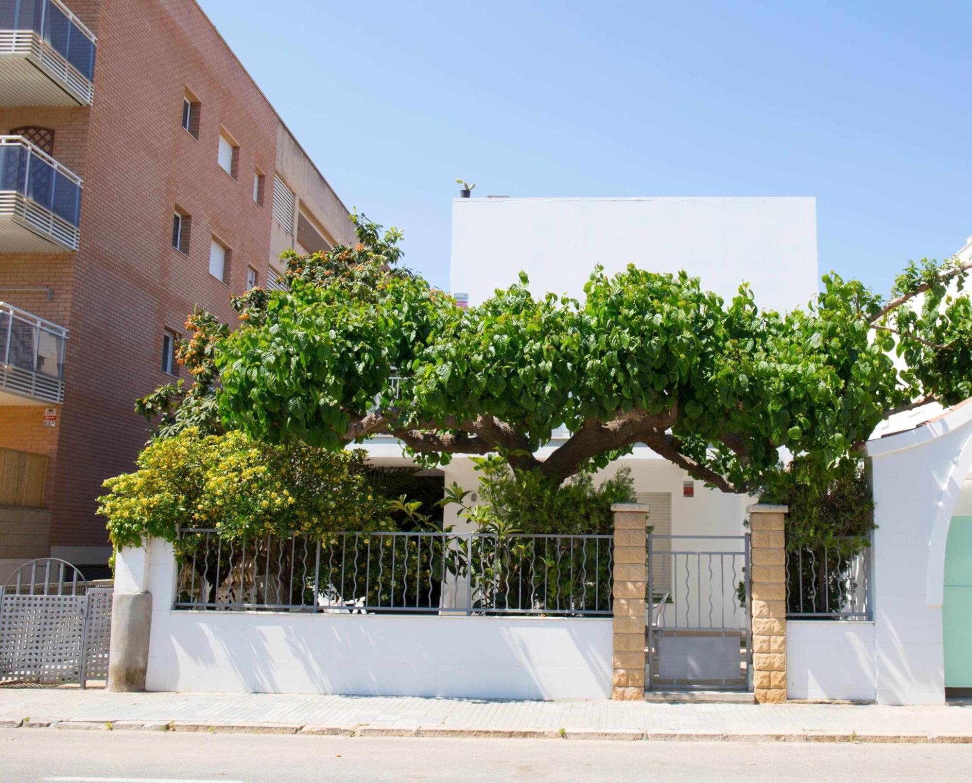 Villa Paula Trinidad 살루 외부 사진